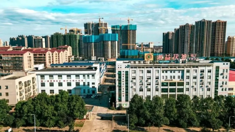 集團(tuán)益陽茶廠作為益陽市唯一企業(yè)入選首批省級非物質(zhì)文化遺產(chǎn)生產(chǎn)性保護(hù)基地彰顯非遺傳承硬實力