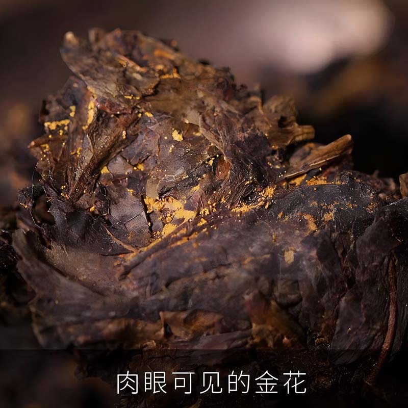 益生元袋泡茶126g