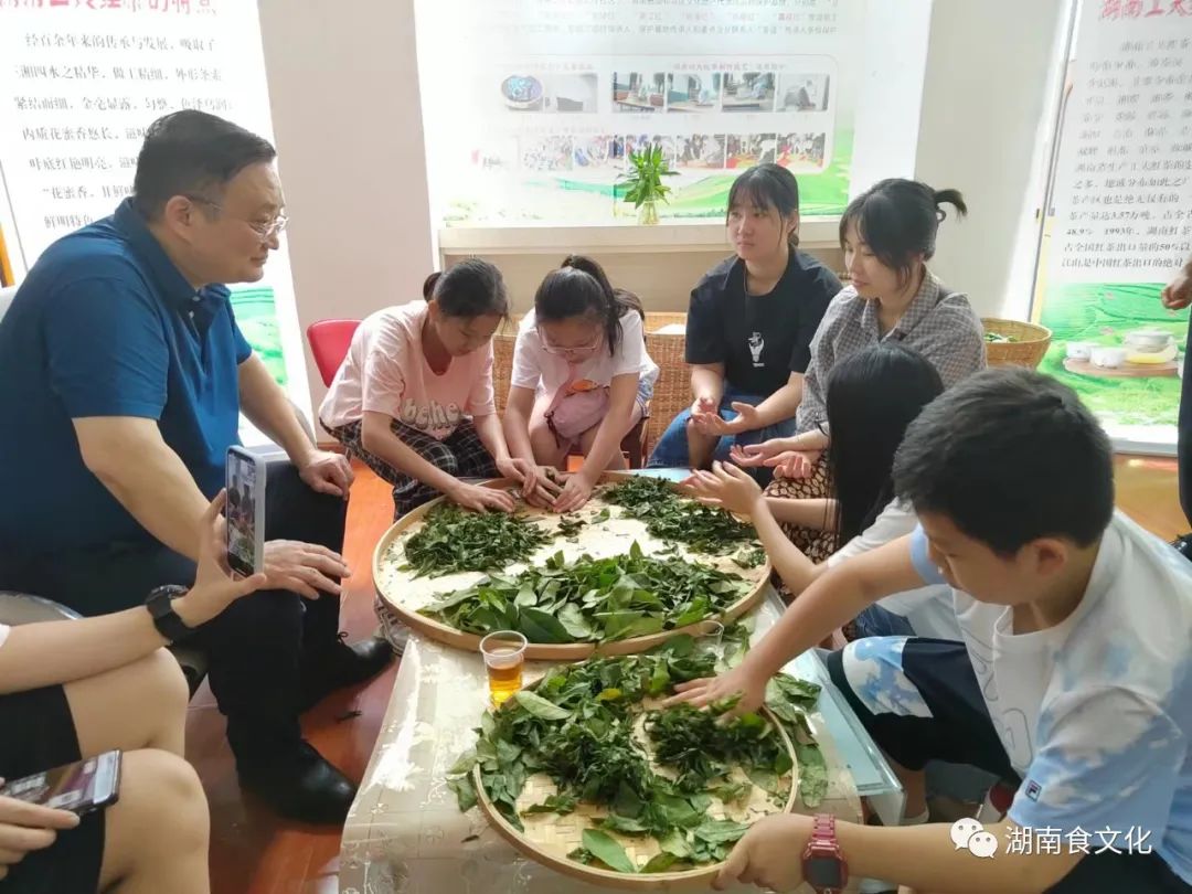 原載人民日?qǐng)?bào)“人民視點(diǎn)”茶葉是怎樣做出來(lái)的？湖南大、中、小學(xué)生體驗(yàn)湖南工夫紅茶制作